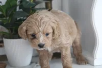 processed/511bc9f1-bb54-4555-9223-bcc421773d6b/listing/28d765e6-e380-4cd3-bd76-71f50f817643/fc30a702-2c61-4273-9b69-5a9e185d324d