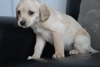 processed/511bc9f1-bb54-4555-9223-bcc421773d6b/listing/4d1b5eb1-e8ab-4e82-934f-c91433d73271/030bbe9b-9248-437b-b2d2-53bfcb4bcf39