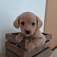 processed/511bc9f1-bb54-4555-9223-bcc421773d6b/listing/ea735d9e-8a17-48ad-beff-abe62dfba72b/158baf52-8106-45c8-86ec-cd3956142ba0