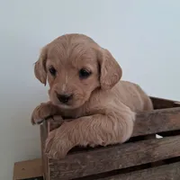 processed/511bc9f1-bb54-4555-9223-bcc421773d6b/listing/ea735d9e-8a17-48ad-beff-abe62dfba72b/2050d92b-add3-4922-a34a-bb0377ba415a