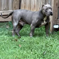 processed/511cd210-0121-4540-97be-125971c47bbb/facility/4ce47531-cce4-458b-8150-a19e86b93c21