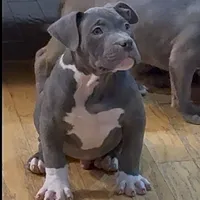 processed/511cd210-0121-4540-97be-125971c47bbb/facility/4e91572a-1e7b-470e-996a-27ee35d1162d