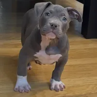 processed/511cd210-0121-4540-97be-125971c47bbb/facility/814dfc42-e56d-451c-89d0-1e83ff36e675