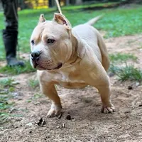 processed/511cd210-0121-4540-97be-125971c47bbb/facility/99355f98-aaa0-456a-aabe-1ebe9dfd3d82