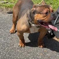 processed/511cd210-0121-4540-97be-125971c47bbb/facility/9d370cd7-f409-4fed-9413-b2a05493836b