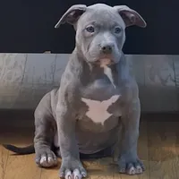 processed/511cd210-0121-4540-97be-125971c47bbb/facility/a36b7d62-1e2d-4071-be7c-668f736437c5