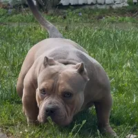 processed/511cd210-0121-4540-97be-125971c47bbb/facility/b70a7471-b0e5-41d6-9e91-ef3f98f3bdcd