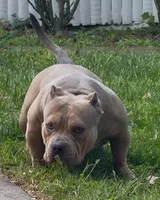 processed/511cd210-0121-4540-97be-125971c47bbb/facility/b70a7471-b0e5-41d6-9e91-ef3f98f3bdcd