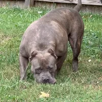 processed/511cd210-0121-4540-97be-125971c47bbb/facility/db6bd3af-39ee-4729-a866-26c39cecb5d3