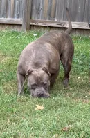 processed/511cd210-0121-4540-97be-125971c47bbb/facility/db6bd3af-39ee-4729-a866-26c39cecb5d3