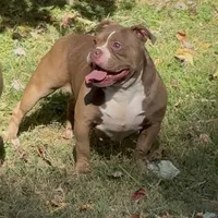 processed/511cd210-0121-4540-97be-125971c47bbb/facility/e197acb4-de77-4c68-b905-e4fa55318712