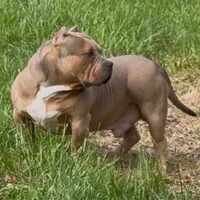 processed/511cd210-0121-4540-97be-125971c47bbb/facility/fab6ae93-23a1-4921-baa3-2a64506db27d