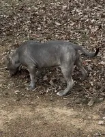 processed/511cd210-0121-4540-97be-125971c47bbb/listing/b104609d-374e-4dc8-afcd-c2f4a7637617/03feac4c-7f75-4ca1-b88e-59bc70019826