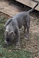 processed/511cd210-0121-4540-97be-125971c47bbb/listing/b104609d-374e-4dc8-afcd-c2f4a7637617/4dbd9100-caf2-4eee-9d29-495bab2c7415