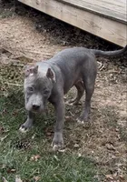 processed/511cd210-0121-4540-97be-125971c47bbb/listing/b104609d-374e-4dc8-afcd-c2f4a7637617/a023ff25-3921-4871-89a8-6fd5ac5eb742