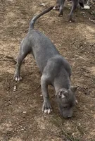 processed/511cd210-0121-4540-97be-125971c47bbb/listing/b104609d-374e-4dc8-afcd-c2f4a7637617/b93aef92-3c28-4a03-aca2-145f31cff2d8