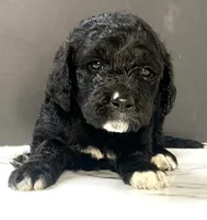 processed/511e8f65-9010-4d58-84bf-2e1c98ec2dfd/listing/41de69d8-cdd0-436c-82a1-11dffe652065/1ac3d484-64e9-4ab1-9c59-e2606b6bf056