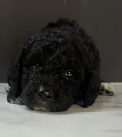 processed/511e8f65-9010-4d58-84bf-2e1c98ec2dfd/listing/41de69d8-cdd0-436c-82a1-11dffe652065/65c7ba20-70e3-4987-8256-688eef2cc7e8