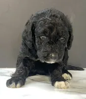 processed/511e8f65-9010-4d58-84bf-2e1c98ec2dfd/listing/41de69d8-cdd0-436c-82a1-11dffe652065/d63dd891-193d-474b-a140-268a6e9e3ff8