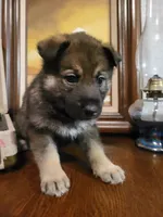 processed/511f57e6-bd9e-4e10-a19b-72433c4560b1/listing/09d2d981-4d41-4f54-bd36-321e334cf18c/739819de-bc62-47ae-8a6b-4e962fb458ae