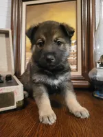 processed/511f57e6-bd9e-4e10-a19b-72433c4560b1/listing/09d2d981-4d41-4f54-bd36-321e334cf18c/9819c710-fffd-44cb-9191-e7b8693df951