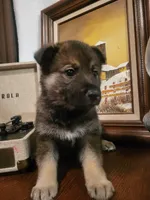 processed/511f57e6-bd9e-4e10-a19b-72433c4560b1/listing/09d2d981-4d41-4f54-bd36-321e334cf18c/a289f70b-ebf0-4610-8c94-8306457469dc