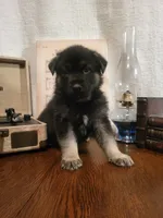 processed/511f57e6-bd9e-4e10-a19b-72433c4560b1/listing/319175e1-75a8-4ca9-b185-9f1f010ed2ea/5142b57d-51d6-4efd-a477-16ad4a248f48