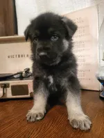 processed/511f57e6-bd9e-4e10-a19b-72433c4560b1/listing/319175e1-75a8-4ca9-b185-9f1f010ed2ea/df94f44d-a355-4fce-b2c2-947bf41e1f98