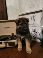 processed/511f57e6-bd9e-4e10-a19b-72433c4560b1/listing/5b987f50-5dbc-4f61-8bf8-3e88552d0c97/20dca34f-80c3-4b78-843d-909d8caa8d9d