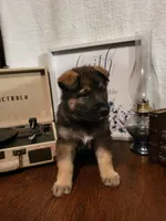 processed/511f57e6-bd9e-4e10-a19b-72433c4560b1/listing/5b987f50-5dbc-4f61-8bf8-3e88552d0c97/eb157f02-5391-4948-a699-e0fd2773b98f