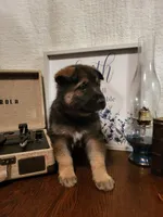 processed/511f57e6-bd9e-4e10-a19b-72433c4560b1/listing/5b987f50-5dbc-4f61-8bf8-3e88552d0c97/f9f90478-8cb6-41a1-a56d-768eb147db3b