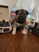 processed/511f57e6-bd9e-4e10-a19b-72433c4560b1/listing/7d8d0af9-7c35-42ac-96c0-2a69389e06e2/3f2335e4-8233-471b-868b-e3ec0a0267ec