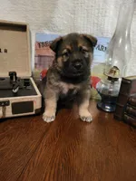 processed/511f57e6-bd9e-4e10-a19b-72433c4560b1/listing/7d8d0af9-7c35-42ac-96c0-2a69389e06e2/a435e2ba-9669-45c8-b45c-7ab482a4b106