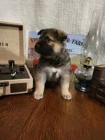 processed/511f57e6-bd9e-4e10-a19b-72433c4560b1/listing/7d8d0af9-7c35-42ac-96c0-2a69389e06e2/c34ac6d7-d801-4789-b478-d5d4262dc0d8