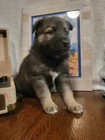 processed/511f57e6-bd9e-4e10-a19b-72433c4560b1/listing/b65107a5-4adb-4d4d-a1eb-2a3ec605c94c/20e483b3-70c5-4135-bd36-163b416434ca