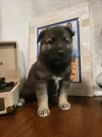 processed/511f57e6-bd9e-4e10-a19b-72433c4560b1/listing/b65107a5-4adb-4d4d-a1eb-2a3ec605c94c/50ca3d67-1e71-40b9-a4ca-3139c36f3517