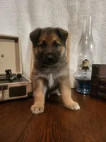 processed/511f57e6-bd9e-4e10-a19b-72433c4560b1/listing/ddf268a3-a8da-4f78-a750-eb3af587e23f/10297d56-4ff1-42e4-a912-0829ee8cd844