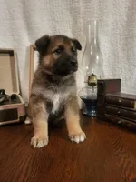 processed/511f57e6-bd9e-4e10-a19b-72433c4560b1/listing/ddf268a3-a8da-4f78-a750-eb3af587e23f/6eb73a72-b9e4-48d2-a8fb-4aab9d718c73