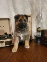 processed/511f57e6-bd9e-4e10-a19b-72433c4560b1/listing/ddf268a3-a8da-4f78-a750-eb3af587e23f/9e4c41a3-f201-401c-818e-ac4ec6c16a5f