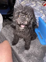 processed/512ff6af-1fb2-40e4-a218-f0599ca9b211/listing/082ef6ea-ec18-4e8a-9443-2f02a5739565/108b9ce0-7e73-4d50-9294-902811a32678