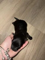 processed/512ff6af-1fb2-40e4-a218-f0599ca9b211/listing/082ef6ea-ec18-4e8a-9443-2f02a5739565/45e60531-2e35-4fe3-a2b0-26d3cf0ca3b9