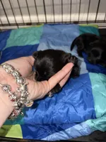 processed/512ff6af-1fb2-40e4-a218-f0599ca9b211/listing/b438488d-e093-4910-a645-7134262d35c1/734d0544-21ee-49e2-91ea-c3e3231254e5