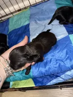 processed/512ff6af-1fb2-40e4-a218-f0599ca9b211/listing/b438488d-e093-4910-a645-7134262d35c1/af452dcb-e215-40a7-802a-7d2d68105d1d