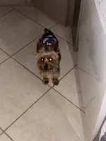 processed/512ff6af-1fb2-40e4-a218-f0599ca9b211/listing/d65bb448-c81e-4169-9198-0292d64aab55/086d78b7-f6ba-4f24-be72-4a1d9b5da91a