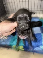 processed/512ff6af-1fb2-40e4-a218-f0599ca9b211/listing/d65bb448-c81e-4169-9198-0292d64aab55/3d5c5c40-8a1a-4601-ad50-b746b5dd8f4f