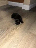 processed/512ff6af-1fb2-40e4-a218-f0599ca9b211/listing/d65bb448-c81e-4169-9198-0292d64aab55/982c035b-ff18-4b32-bb69-b8e0b2263756