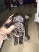 processed/512ff6af-1fb2-40e4-a218-f0599ca9b211/listing/d65bb448-c81e-4169-9198-0292d64aab55/a15e4585-a727-47c3-be3c-560b69efd089