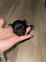 processed/512ff6af-1fb2-40e4-a218-f0599ca9b211/listing/f4e38570-4cf3-4b91-95fb-896e98c8d3f7/6bd92938-0065-41f0-a9da-aa576bcae3a8