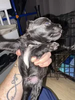 processed/512ff6af-1fb2-40e4-a218-f0599ca9b211/listing/f4e38570-4cf3-4b91-95fb-896e98c8d3f7/761a60ce-e7ec-4123-8209-ead93c1f761c