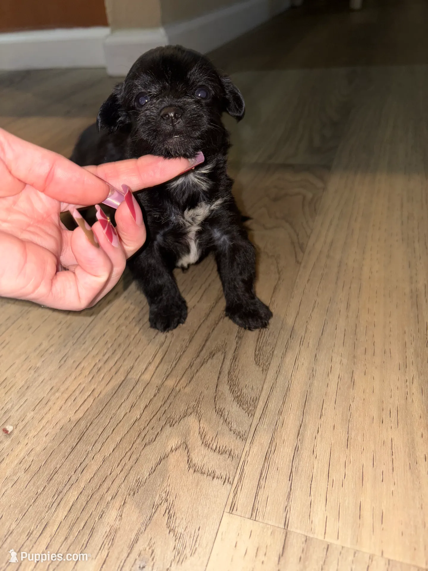 processed/512ff6af-1fb2-40e4-a218-f0599ca9b211/listing/f4e38570-4cf3-4b91-95fb-896e98c8d3f7/bc805b79-dd76-44d2-9874-1ecfd927b19f